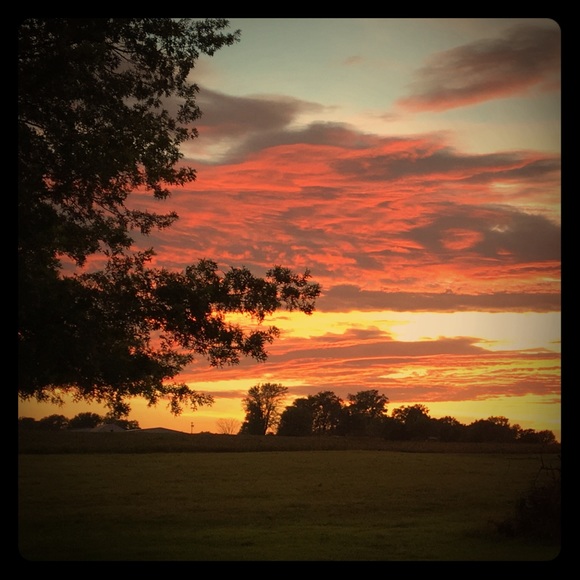 Meet your Posher, Allison - Picture 1 of 1